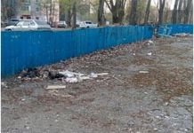Жительница Пензы предлагает переделать хоккейные коробки в парковки