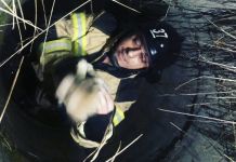 Пензенские спасатели достали щенков из заброшенного колодца