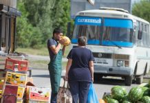 Осторожно, арбузы: как выбирать бахчевые