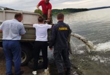 В Сурском водохранилище увеличилось количество промысловой рыбы