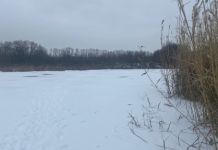 В Башмаковском районе на берегу пруда обнаружили мертвого рыбака
