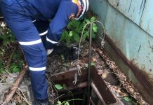 В Пензе спасатели достали собаку из глубокой ямы