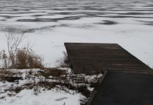 Пензенец забил до смерти топором своего собутыльника и закопал