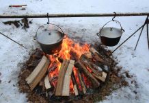 На Олимпийской аллее пройдет новогодний пикник