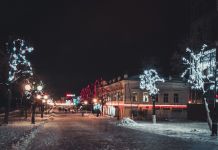 ﻿﻿К Новому году на улице Лермонтова появятся светящиеся ласточки