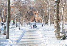 27 февраля в Пензе ожидается аномально холодная погода