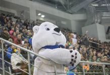 В Пензе вход на хоккейный матч со звездами будет бесплатным