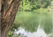 В реке Пензе обнаружен труп рыбака