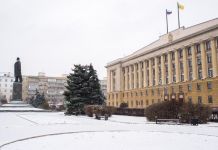 За сутки еще два пензенца умерли от коронавируса