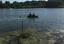 В пруду села Богословка утонул мужчина
