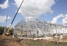 В области планируют ежегодно производить пять тысяч тонн грибов 