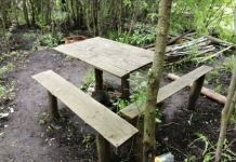 Житель Пачелмы пять раз ударил знакомую топором по голове