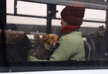 В Пензу прибыли еще 460 жителей ДНР