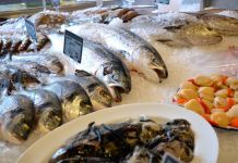 В Пензе сняли с реализации более полтонны морепродуктов