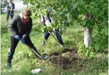 В Пензе разработан план по восстановлению зеленого фонда