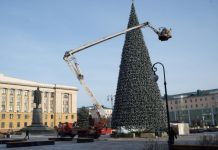 Главную елку города планируют начать устанавливать на следующей неделе