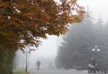 В области за сутки выявили 105 новых заболевших коронавирусом