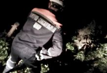 В Пензе в овраге нашли мужчину без сознания