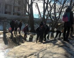 Пензенским школьникам приходится добираться до школы вплавь 