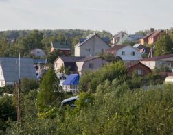 В Бессоновке мужчина убил мать сожительницы