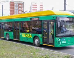 В Пензе за общественный транспорт будет отвечать минстрой