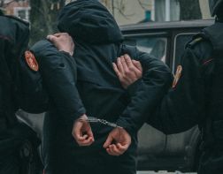 Жители области забросали камнями своего преследователя 