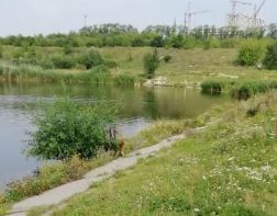 В Арбеково планируют создать парк как московский Зарядье