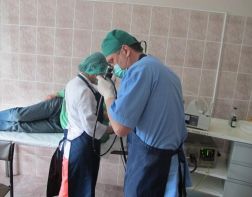 В субботу пензенцев ждут врачи-гастроэнтерологи