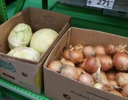 В Пензе репчатый лук подорожал за месяц на 63%