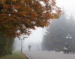 Туман и гололедица: пензенцам рекомендуют быть осторожнее на дорогах 