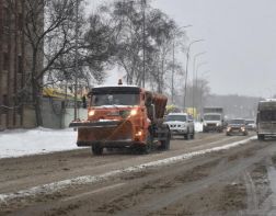 Пензенских водителей просят не пользоваться личными автомобилями 31 декабря