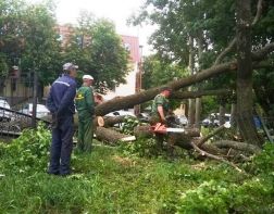 На улицах Пензы устраняют последствия непогоды 