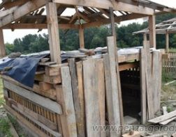  «Леди ночь» превратилась в помойку