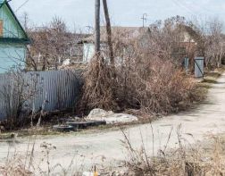 Степановские дачники остались без дачного маршрута