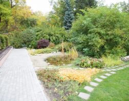 Пензенский ботанический сад станет частью туристического маршрута