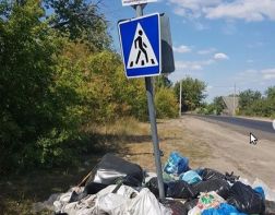На Барковке жители мусорят рядом с запрещающим знаком