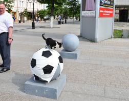 Защитные шары на Московской превратят в футбольные мячи