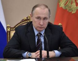 Путин и Медведев отчитались о доходах