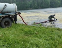 В Заречном начали очищать от водорослей пруд Лесной