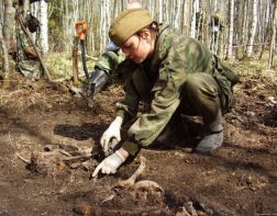 Поисковики нашли останки 17 бойцов