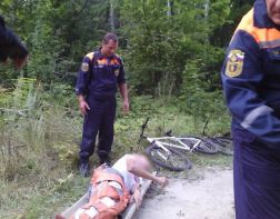 Спасатели 2 км несли велосипедиста по лесу