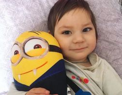В Пензе объявлен сбор средств на лечение и реабилитацию 2,5-летнего Елисея Митрофанова