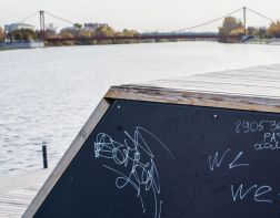 В Пензе участились случаи вандализма