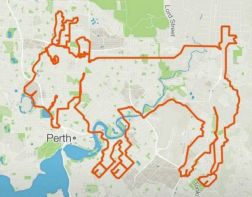 В Австралии велосипедисты проложили «козлиный» маршрут