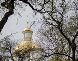 Православные пензенцы смогут поклониться мощам Николая Чудотворца 