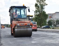 Жители улицы Вишневой и Российской просят отремонтировать им дорогу