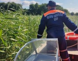 Пензенские спасатели помогли туристам выбраться из камышей