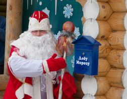 В Пензе Деда Мороза поднимут к окнам палат детской больницы