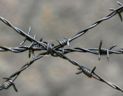 Под Пензой обнаружили тело женщины, запутанной в проволоке