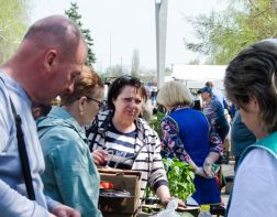﻿На улице Славы открылся фестиваль «Сезон уДачи» 